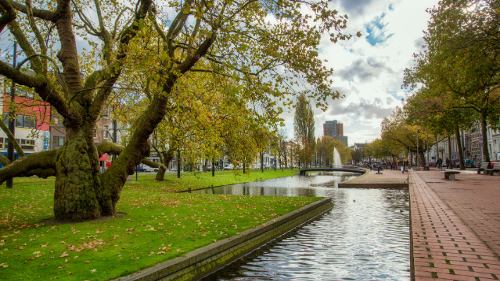 Uitvaart Rotterdam Centrum: persoonlijke uitvaartzorg door RememberMe